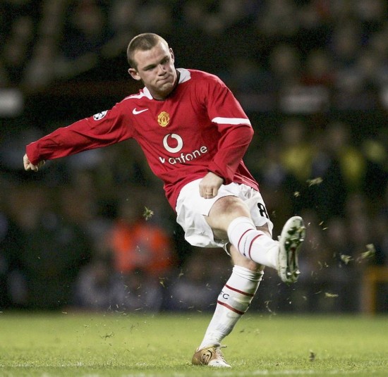 定了稳固的 定了稳固的